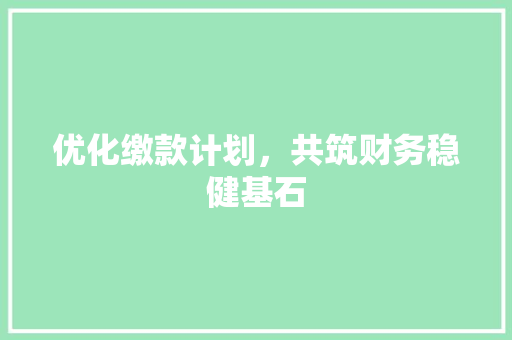 优化缴款计划，共筑财务稳健基石