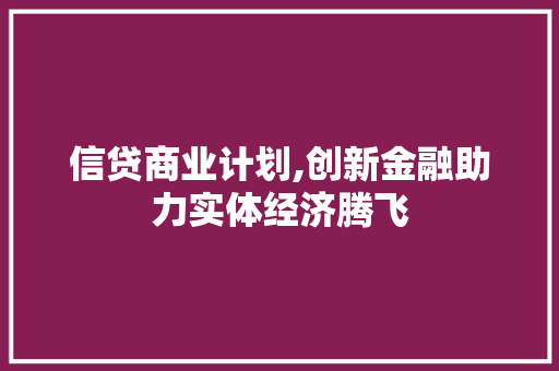 信贷商业计划,创新金融助力实体经济腾飞