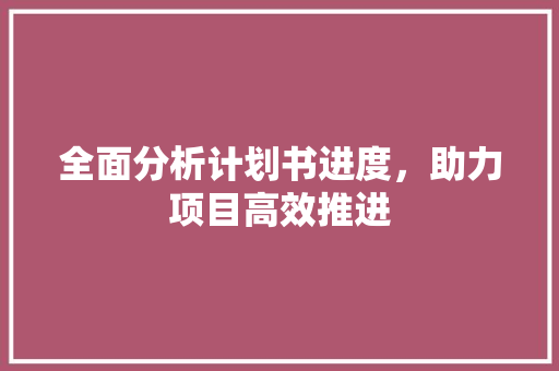 全面分析计划书进度，助力项目高效推进