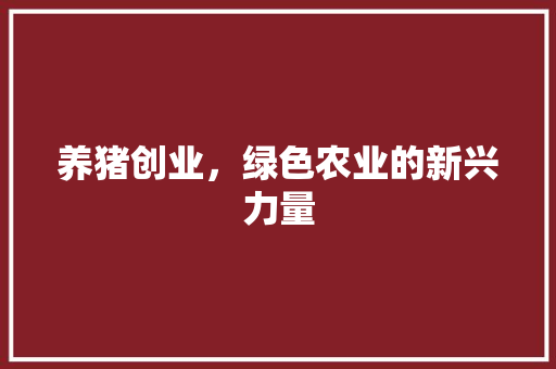 养猪创业，绿色农业的新兴力量