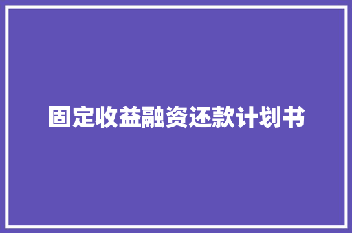 固定收益融资还款计划书