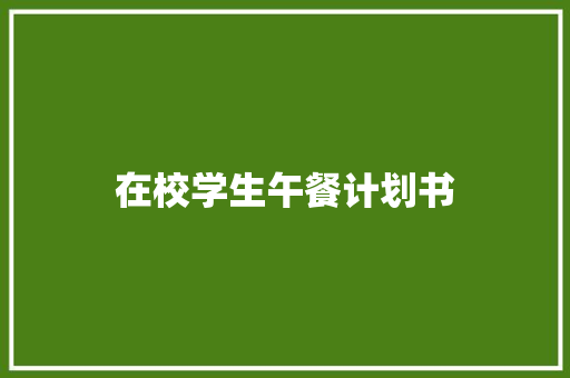 在校学生午餐计划书