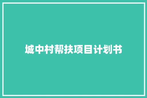 城中村帮扶项目计划书