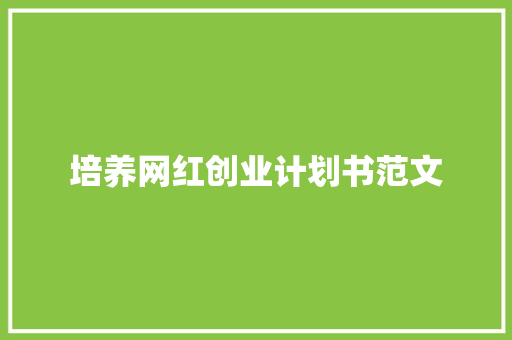 培养网红创业计划书范文 简历模板