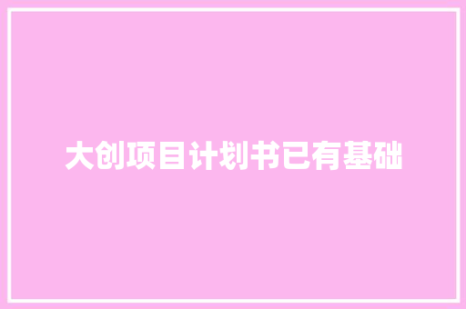 大创项目计划书已有基础