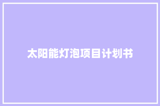 太阳能灯泡项目计划书