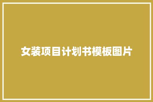 女装项目计划书模板图片