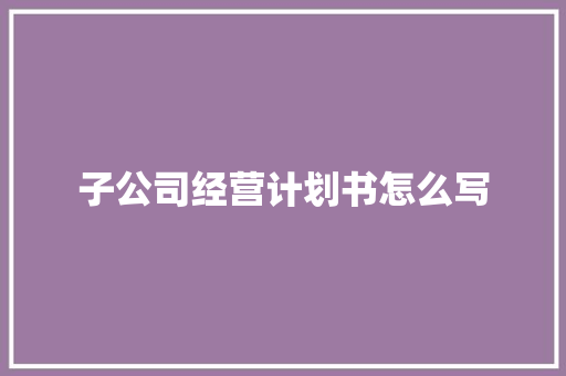 子公司经营计划书怎么写