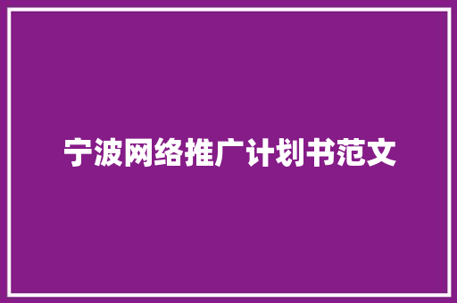 宁波网络推广计划书范文