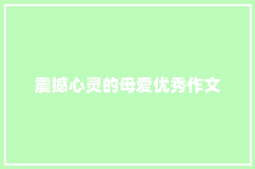 震撼心灵的母爱优秀作文