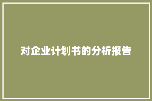 对企业计划书的分析报告
