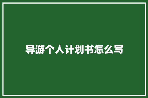 导游个人计划书怎么写