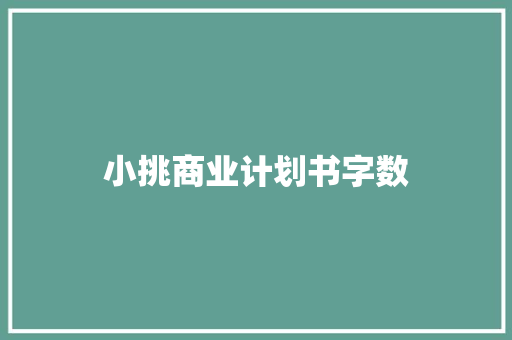 小挑商业计划书字数