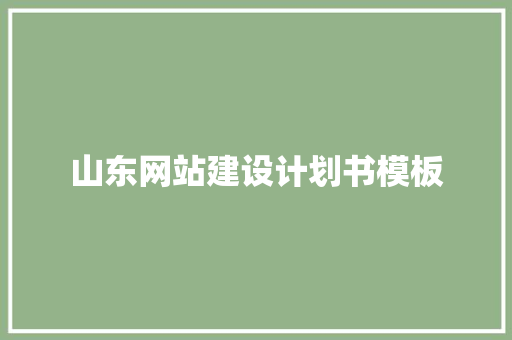 山东网站建设计划书模板