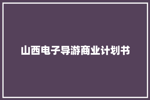 山西电子导游商业计划书