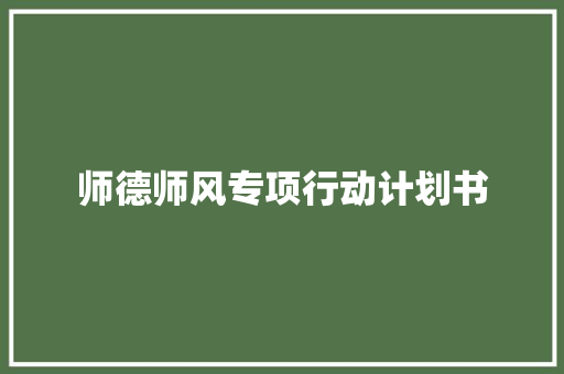 师德师风专项行动计划书