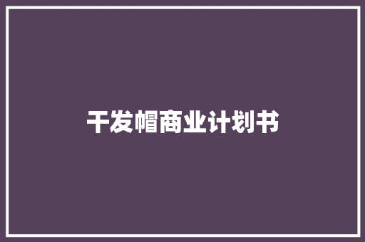 干发帽商业计划书