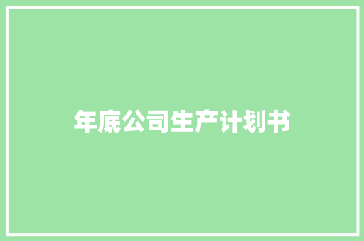 年底公司生产计划书