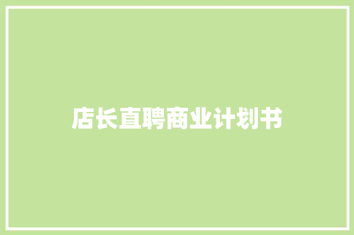 店长直聘商业计划书