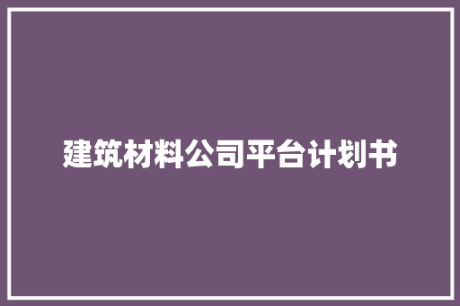 建筑材料公司平台计划书