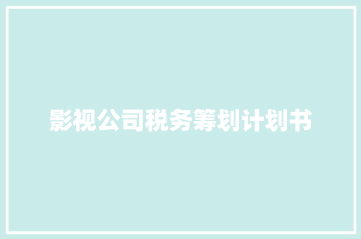 影视公司税务筹划计划书