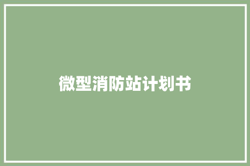 微型消防站计划书