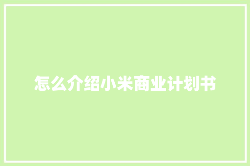 怎么介绍小米商业计划书 报告写作
