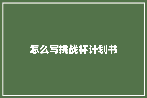 怎么写挑战杯计划书