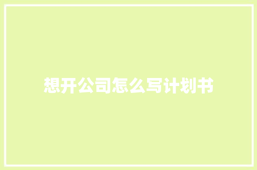 想开公司怎么写计划书