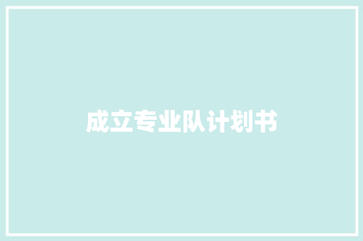 成立专业队计划书