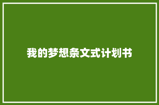 我的梦想条文式计划书