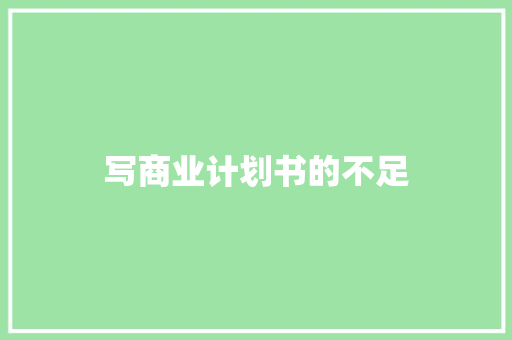 写商业计划书的不足