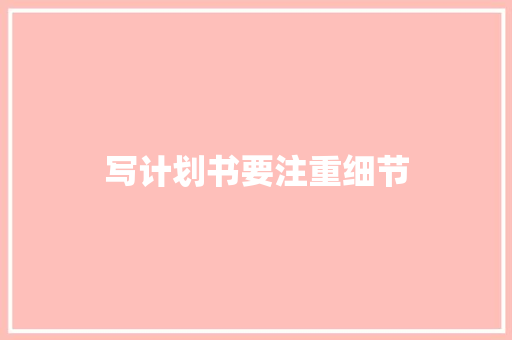 写计划书要注重细节