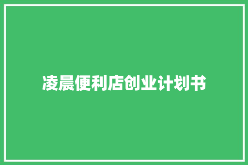 凌晨便利店创业计划书