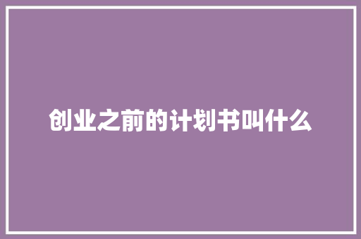 创业之前的计划书叫什么