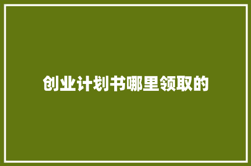 创业计划书哪里领取的