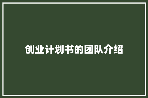 创业计划书的团队介绍
