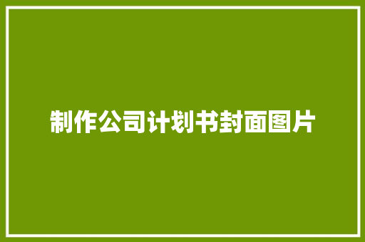 制作公司计划书封面图片