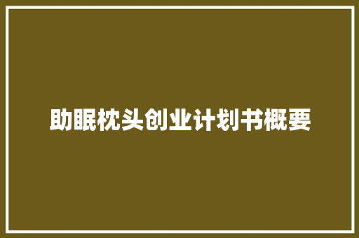 助眠枕头创业计划书概要