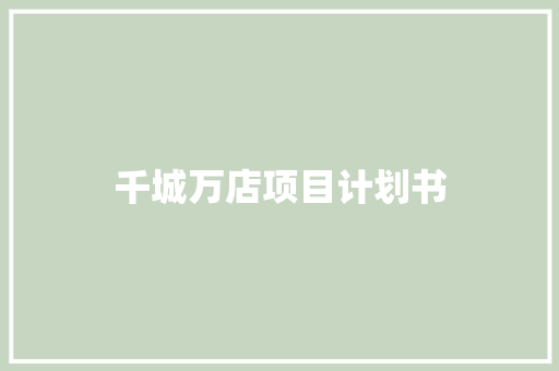 千城万店项目计划书