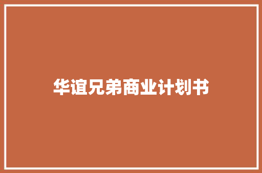 华谊兄弟商业计划书