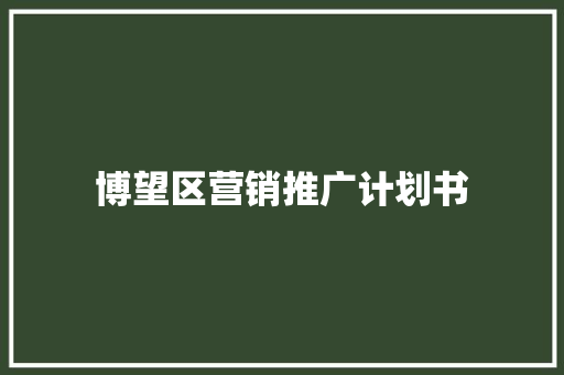博望区营销推广计划书