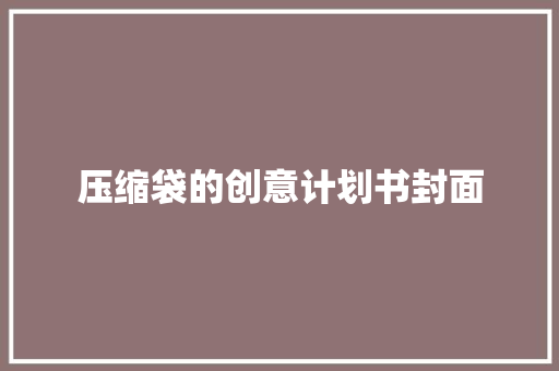 压缩袋的创意计划书封面 写作素材