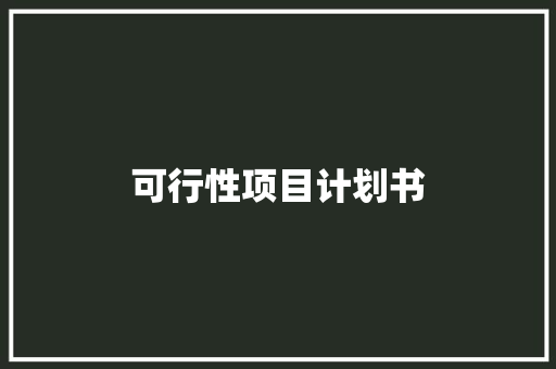 可行性项目计划书