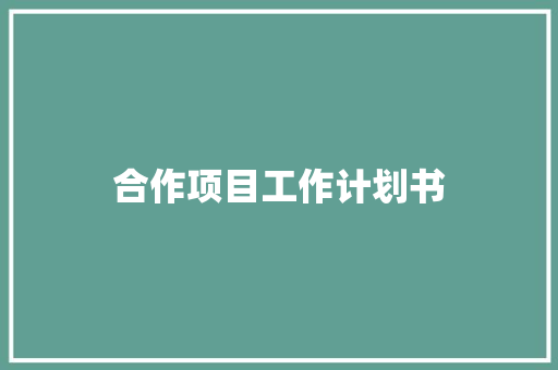 合作项目工作计划书