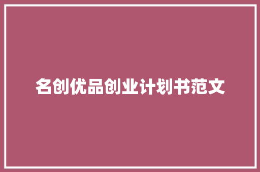 名创优品创业计划书范文