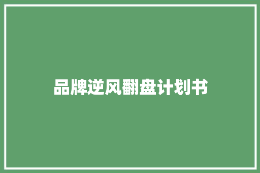品牌逆风翻盘计划书