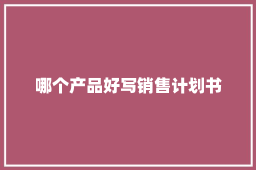 哪个产品好写销售计划书