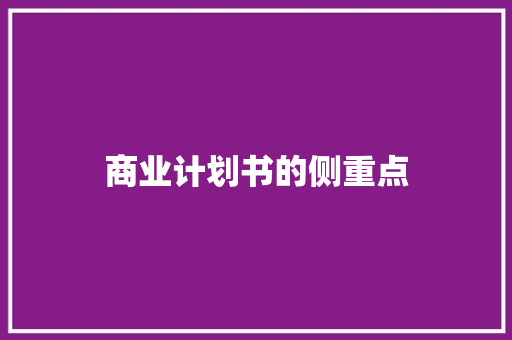 商业计划书的侧重点