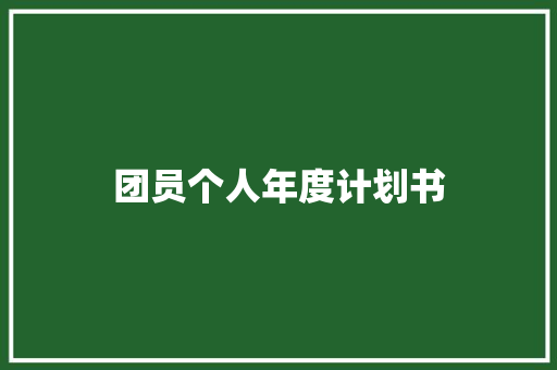 团员个人年度计划书